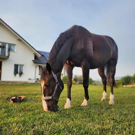 Stajnia Orlowscy Agroturismo Ladzin (West Pomeranian)