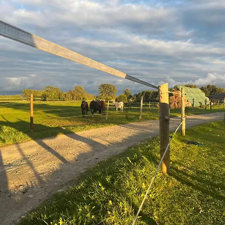 Stajnia Orlowscy Farm stay *
