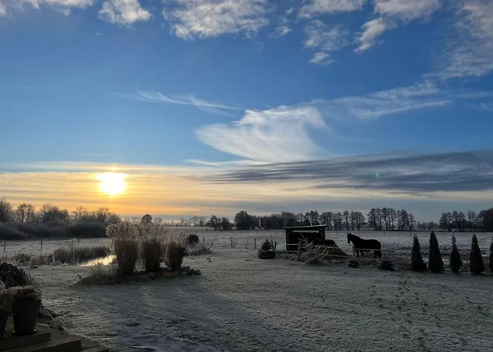 Stajnia Orlowscy Agroturismo